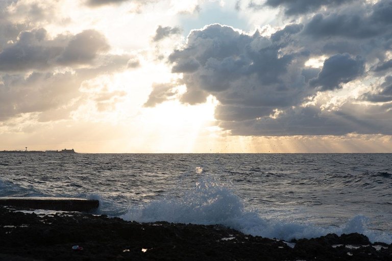 DSC_0791.jpg