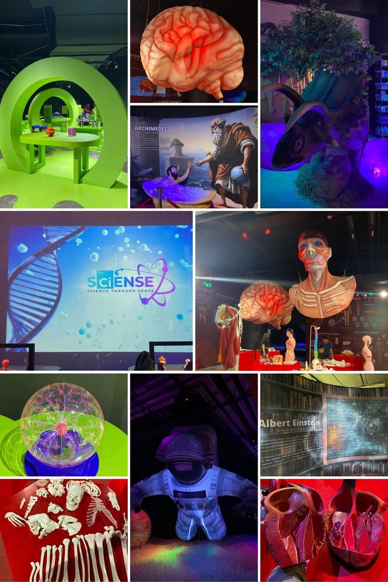 Science collage.jpg