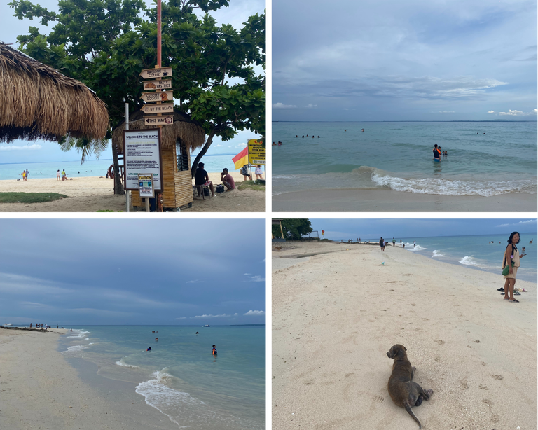 kota beach.png