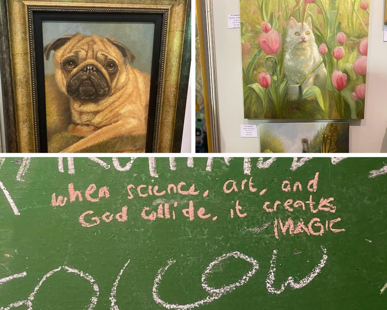 fine arts museums.jpg