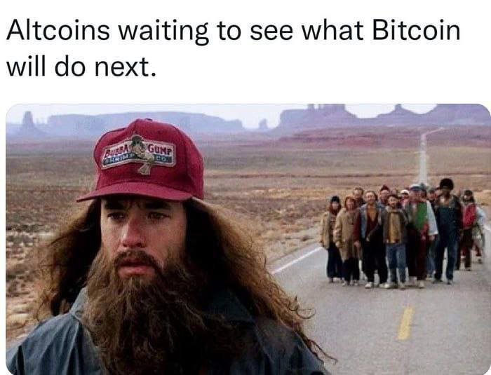 Altcoins waiting to see what Bitcoin will do next. 😂😂😂