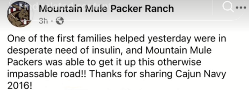 Screenshot 2024-10-05 at 18-35-01 Find 'mules bring ice for mans insulin' on TikTok TikTok Search.png