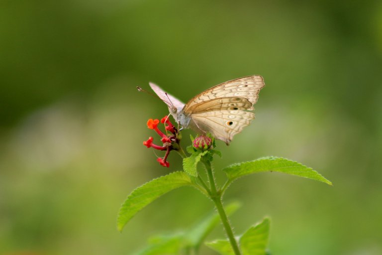 IMG_7291.JPG