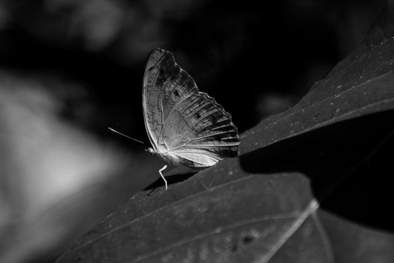 IMG_7660.JPG