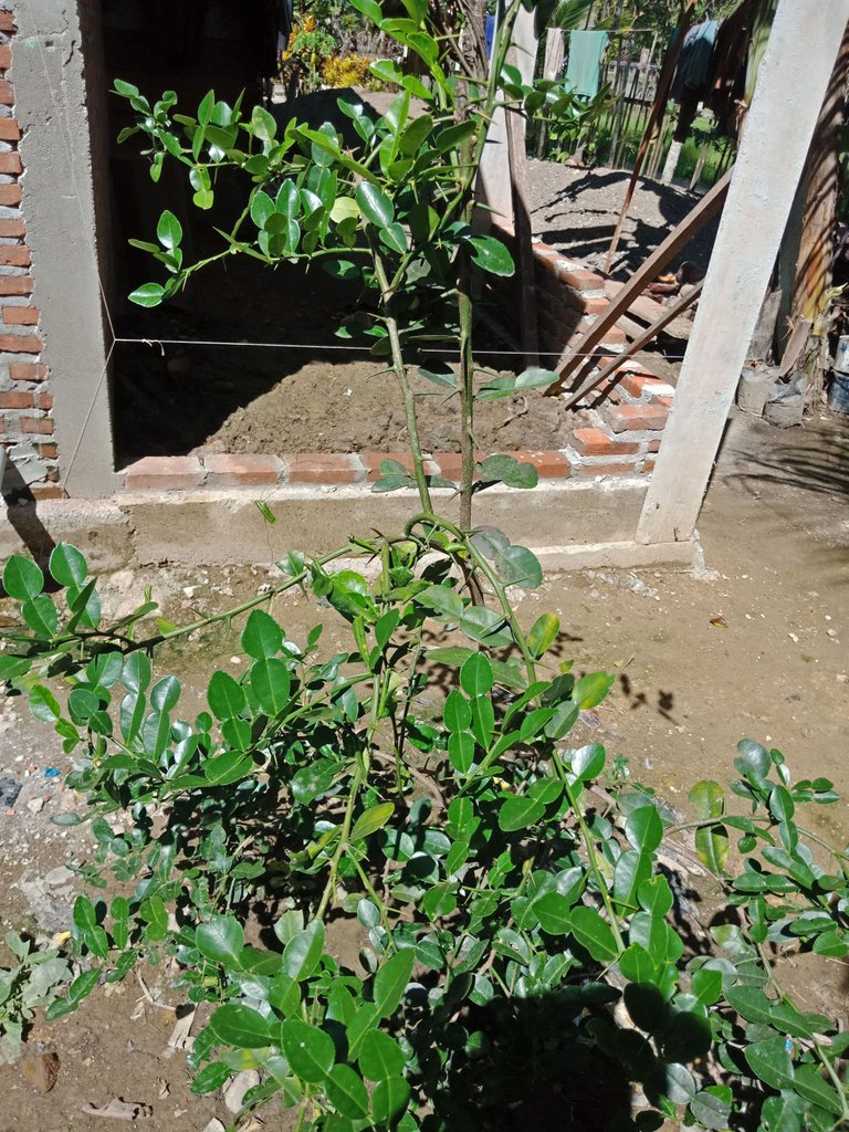 IMG20230527144103.jpg