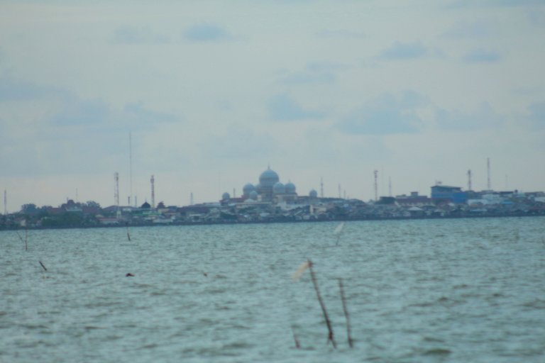 IMG_7114.JPG