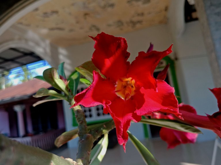IMG20230620164537.jpg