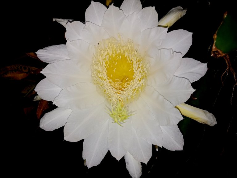 IMG20230526212556.jpg