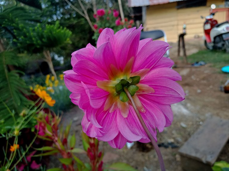 IMG20230319072439.jpg