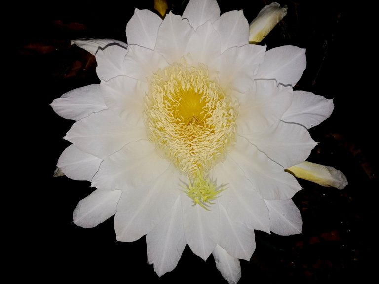 IMG20230526212751.jpg
