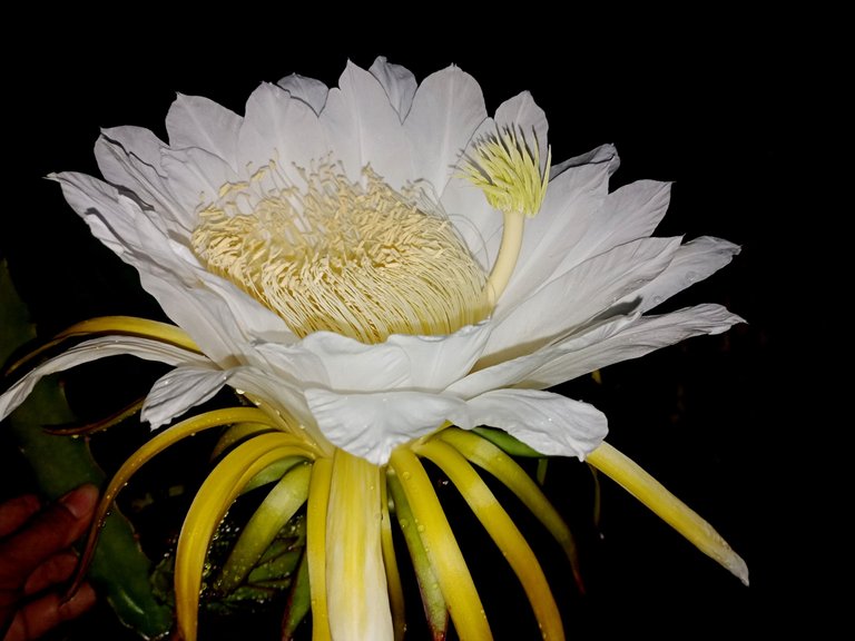 IMG20230526212718.jpg