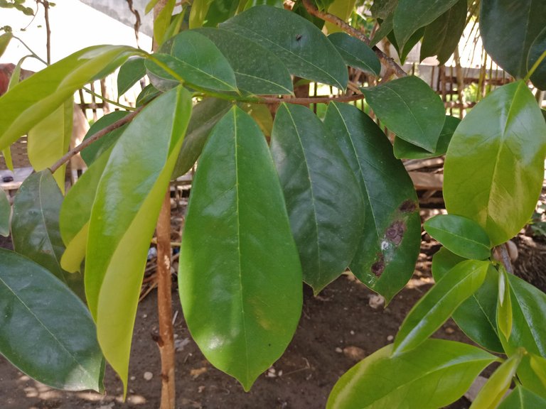IMG20230527144126.jpg