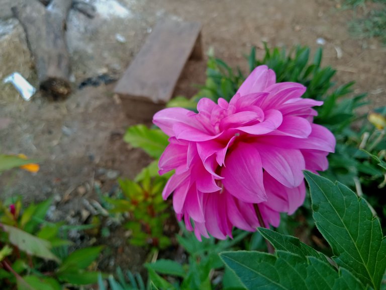 IMG20230319072347.jpg