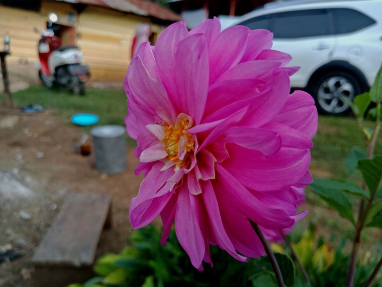 IMG20230319072343.jpg