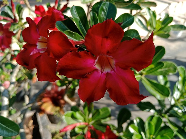 IMG20230620164548.jpg