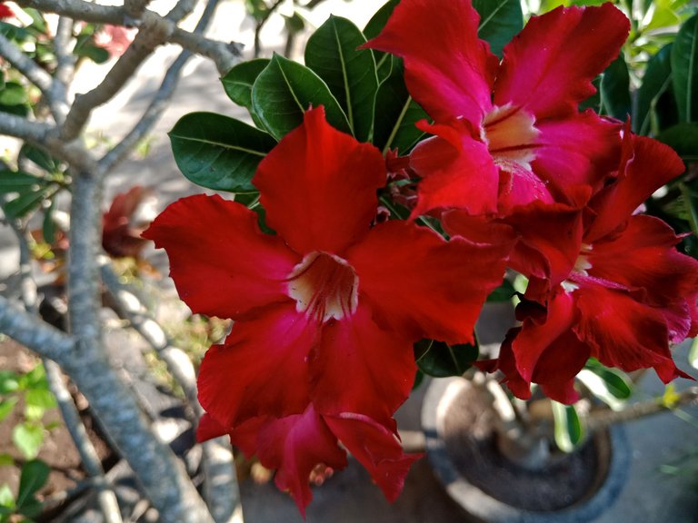IMG20230620164555.jpg
