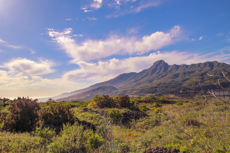 municipio_elpaso_lapalma_islascanarias_javiersebastian_2014_2562.jpg