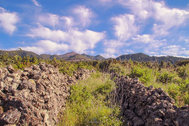 municipio_elpaso_lapalma_islascanarias_javiersebastian_2014_2548.jpg