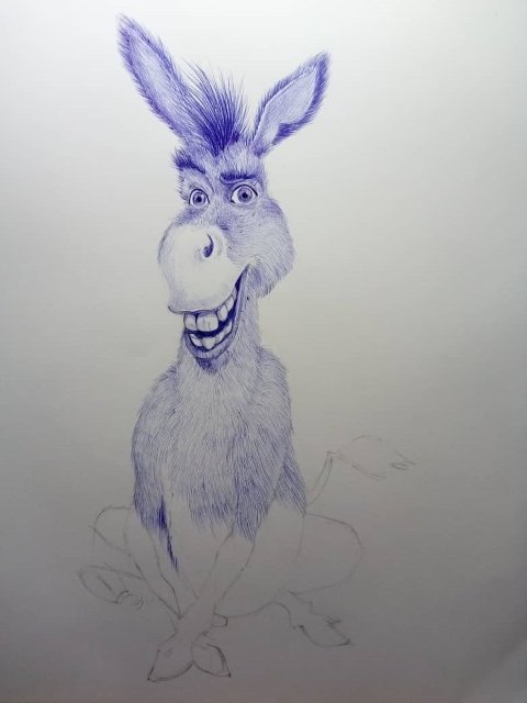 burro4.jpeg