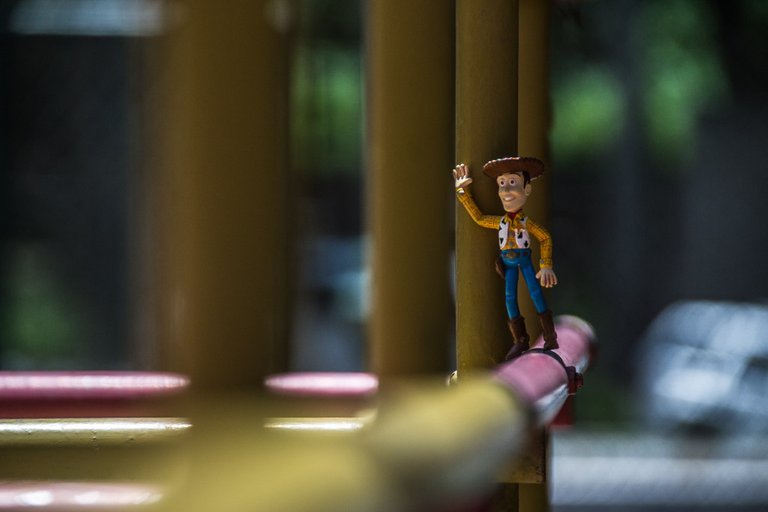 woody4.jpg