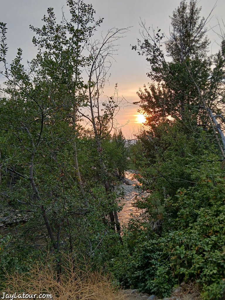 20240727_195038.jpg