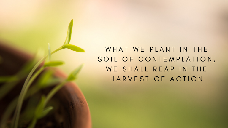 what we plant in the soil of contemplation, we shall reap in the harvest of action.png