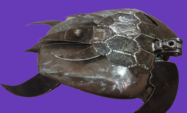 Sea_Turtle_purp 2.png