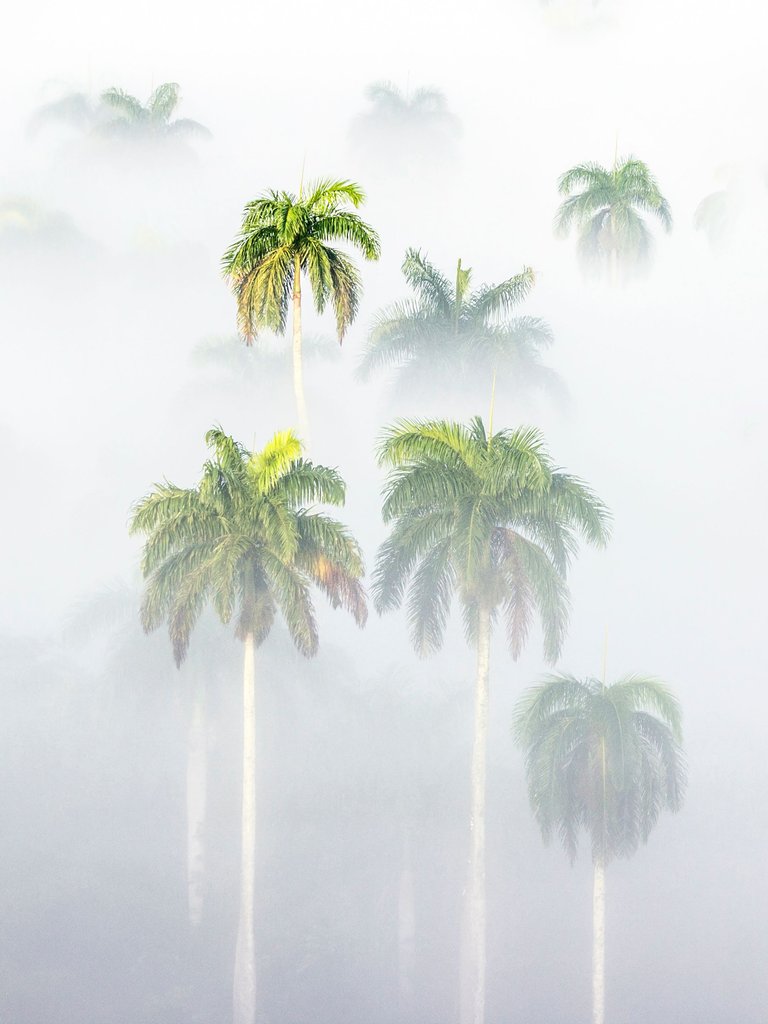 JavierCalvoParapar_Paisaje copia.jpg