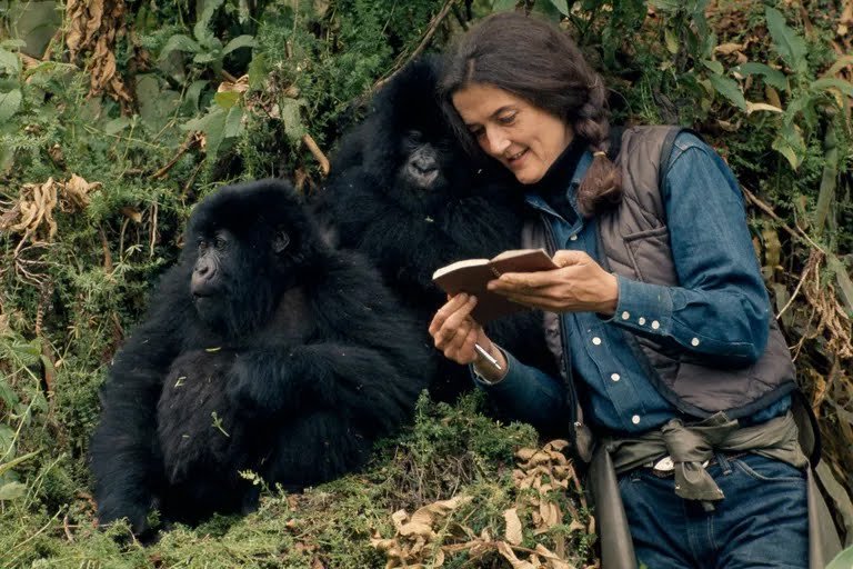 05-dian-fossey-archive.jpeg