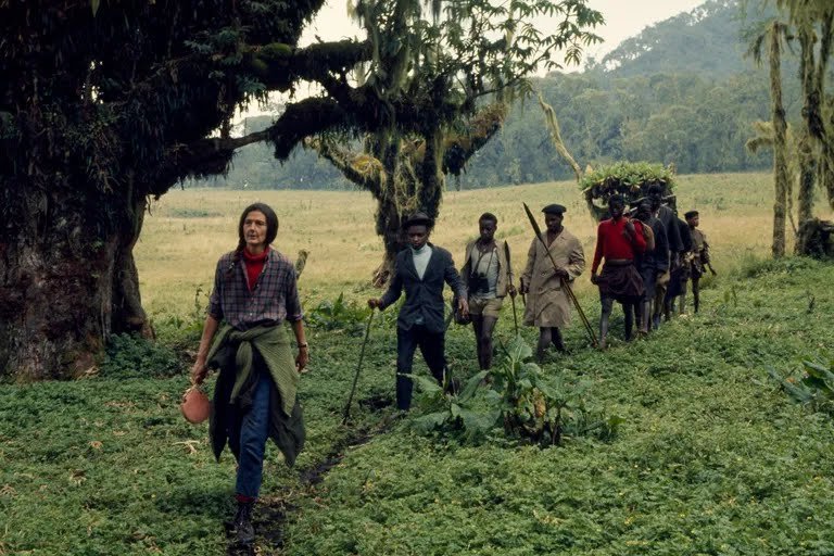 16-dian-fossey-archive.jpeg