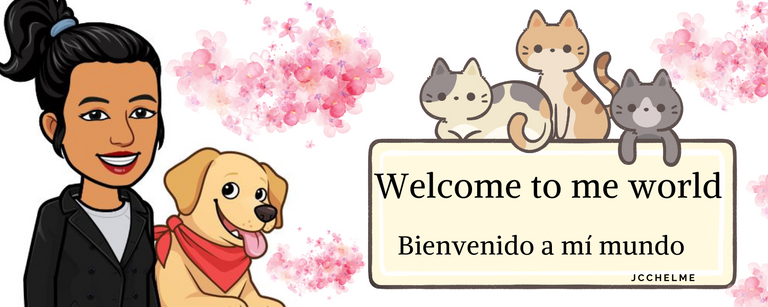 Bienvenido (3).png