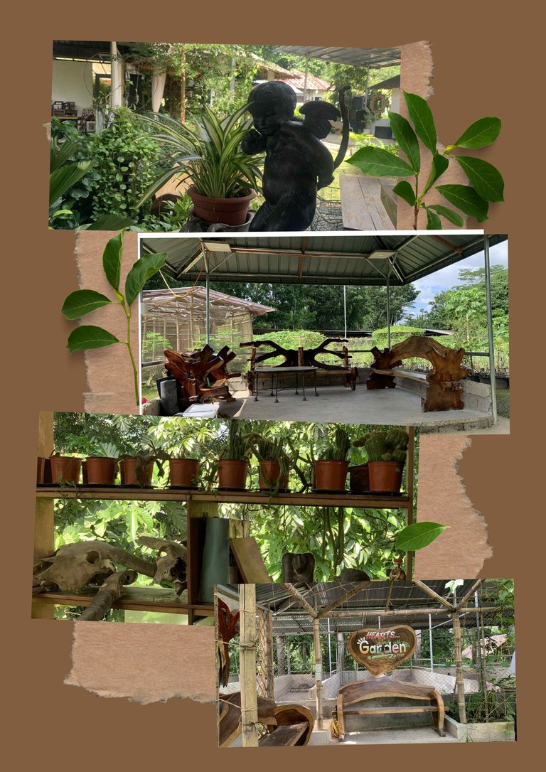 Brown Simple Interior Photo Collage A4 Document (1).jpg