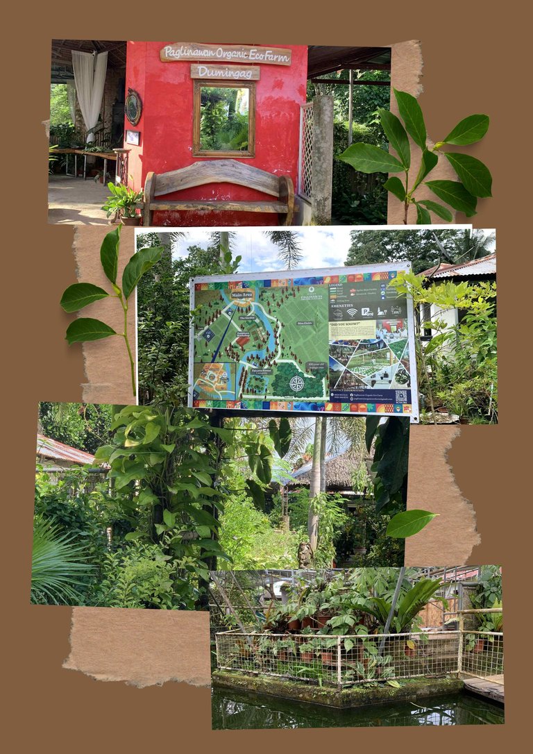 Brown Simple Interior Photo Collage A4 Document.jpg