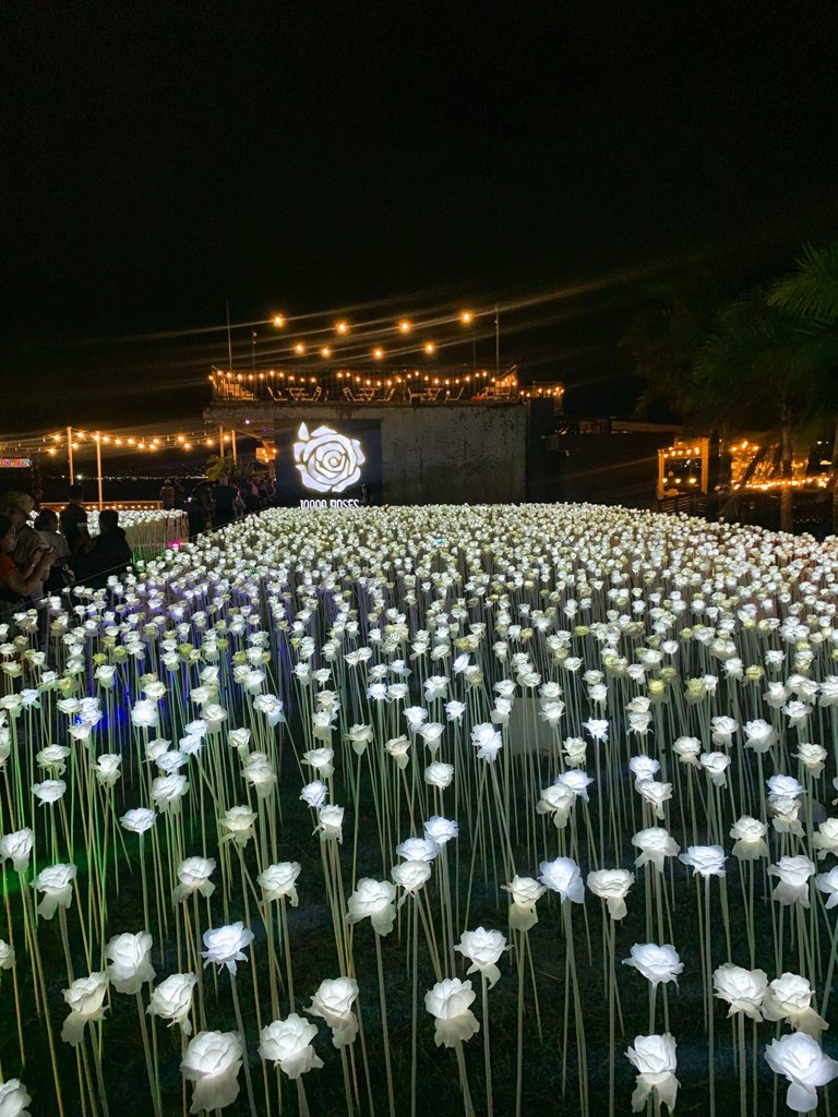 IMG_3386.jpg