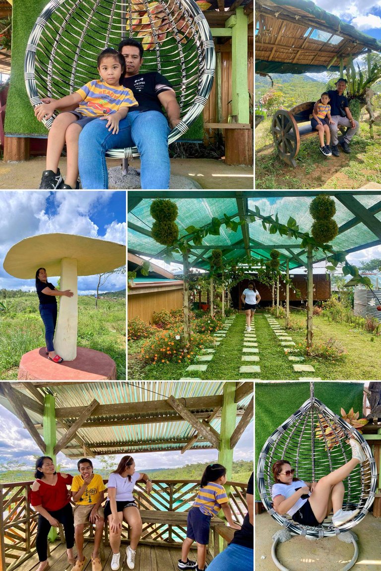 Beautiful Natural Scenery Aesthetics Mood Photo Collage.jpg