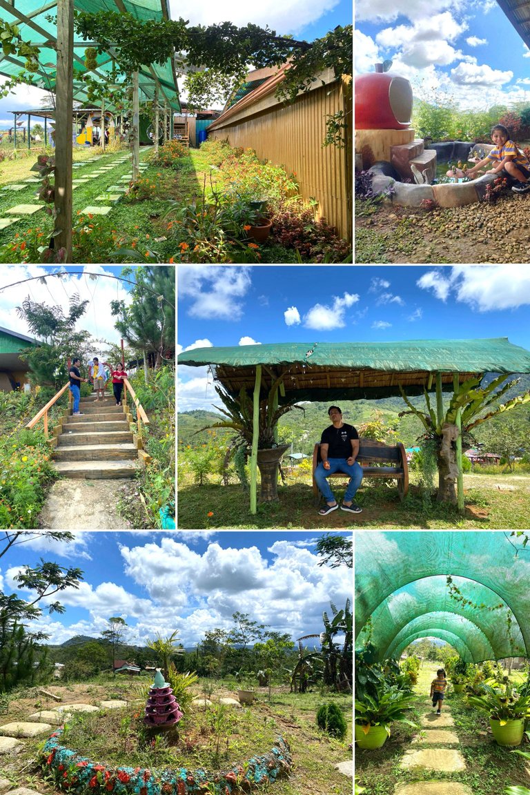 Beautiful Natural Scenery Aesthetics Mood Photo Collage (1).jpg