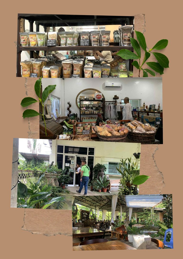Brown Simple Interior Photo Collage A4 Document (8).jpg
