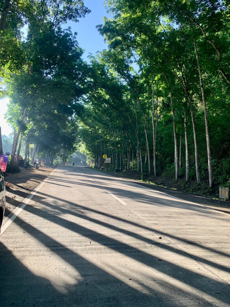 Qurator’s Photo Quest Competition: Empty Streets of Siayan - Beneath the Lush 