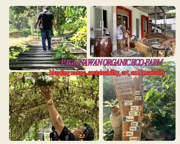 Harvest, Taste, and Rest: A Day at Paglinawan Organic Eco-Farm in Dumingag, Zamboanga del Sur, PH