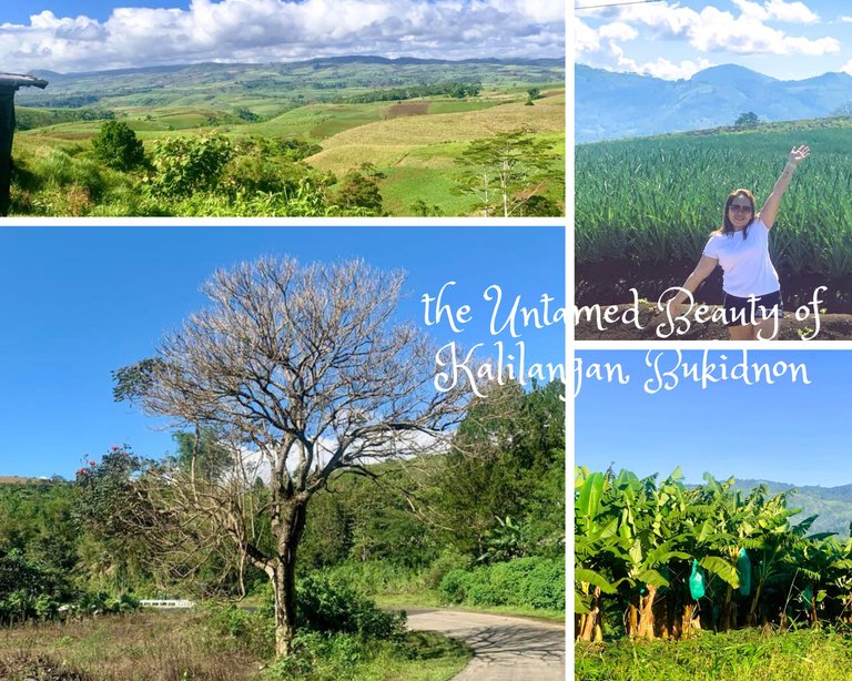 Captured Horizons: The Untamed Beauty - Breathtaking Landscapes of Kalilangan, Bukidnon, PH