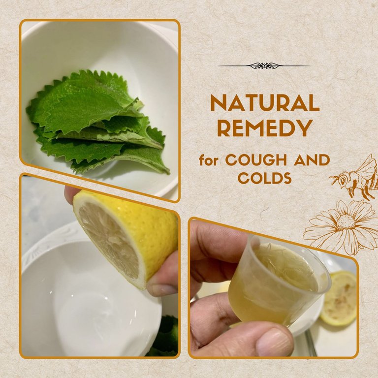 Skip the Pharmacy: My Go-To Remedy for Colds and Coughs with Oregano, Lemon & Honey
