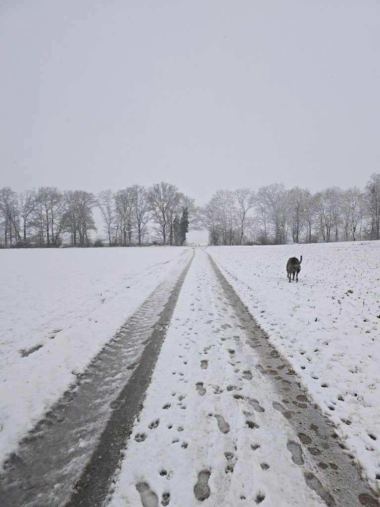 Schnee2.jpg