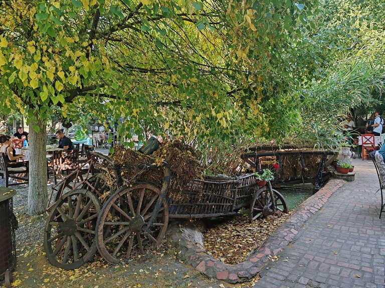 IMG_20250622_172719.jpg