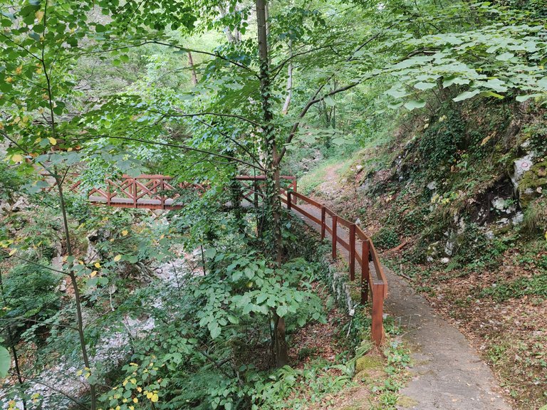 IMG_20250706_184156.jpg