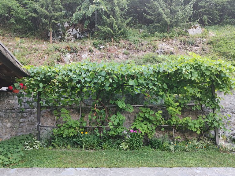 IMG_20250706_183537.jpg