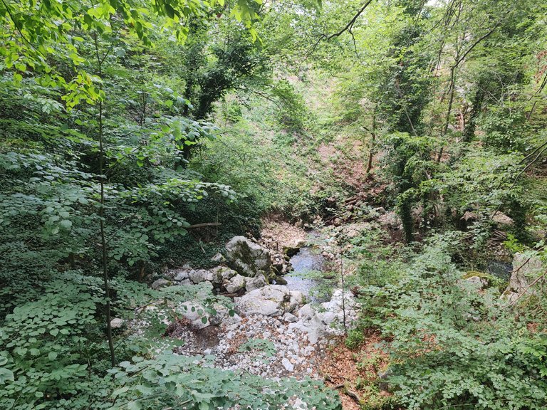 IMG_20250706_184224.jpg