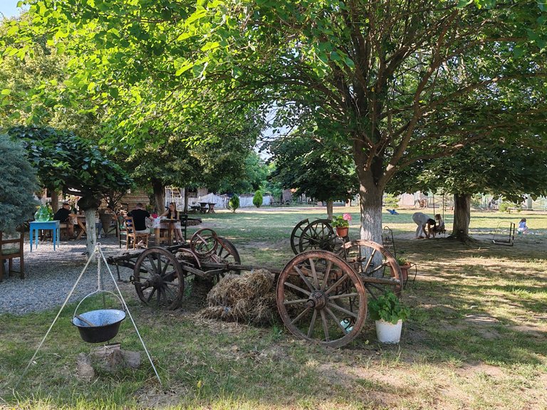 IMG_20250622_172625.jpg