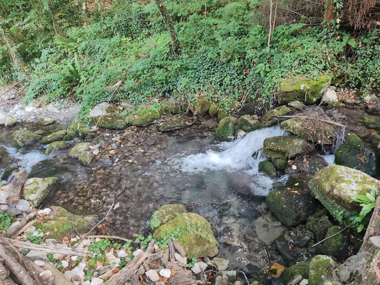 IMG_20250706_183642.jpg