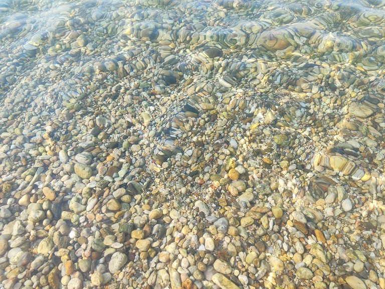 IMG_20230710_181259.jpg