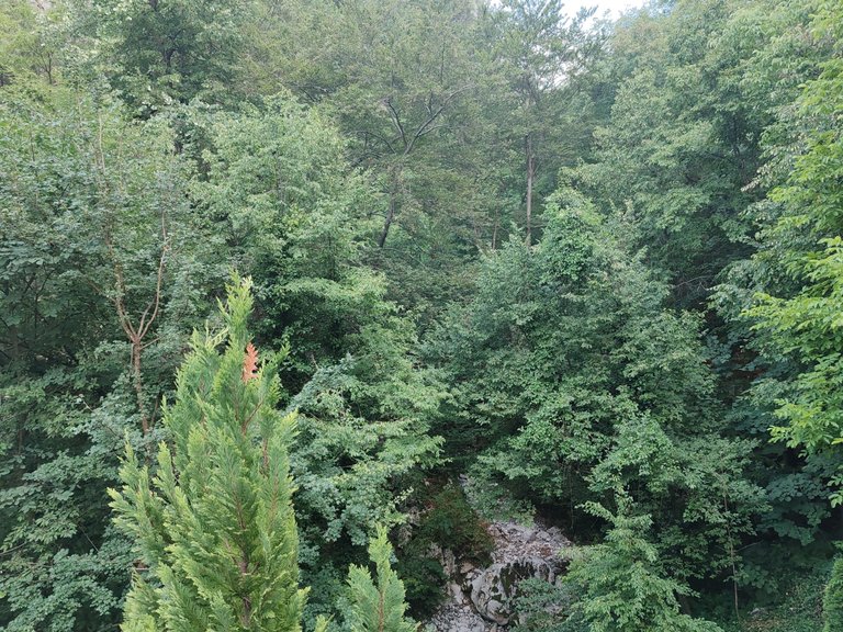 IMG_20250706_183525.jpg